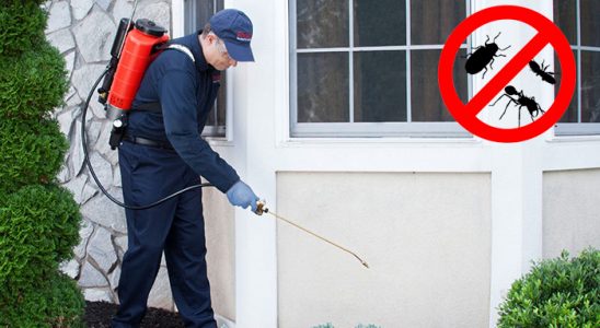 Keçiborlu Uçan Haşere İlaçlama böcek ilaçlama ve haşere kontrolü — ilaclama-tr.com